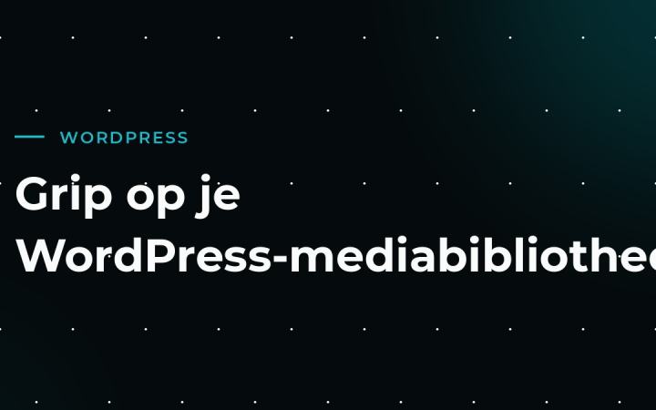De mediabibliotheek opgeruimd: zo krijg je grip op je afbeeldingen